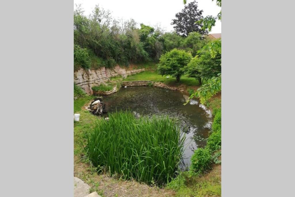 Studio Au Bord De L'Etang Laives المظهر الخارجي الصورة