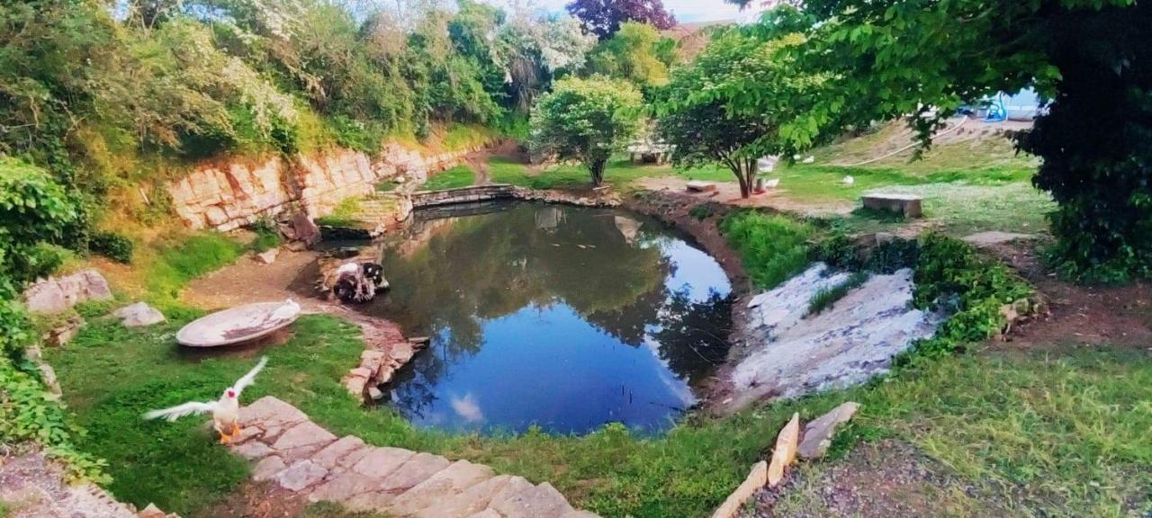 Studio Au Bord De L'Etang Laives المظهر الخارجي الصورة
